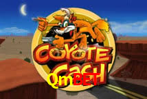 Experiência VIP Qmbet